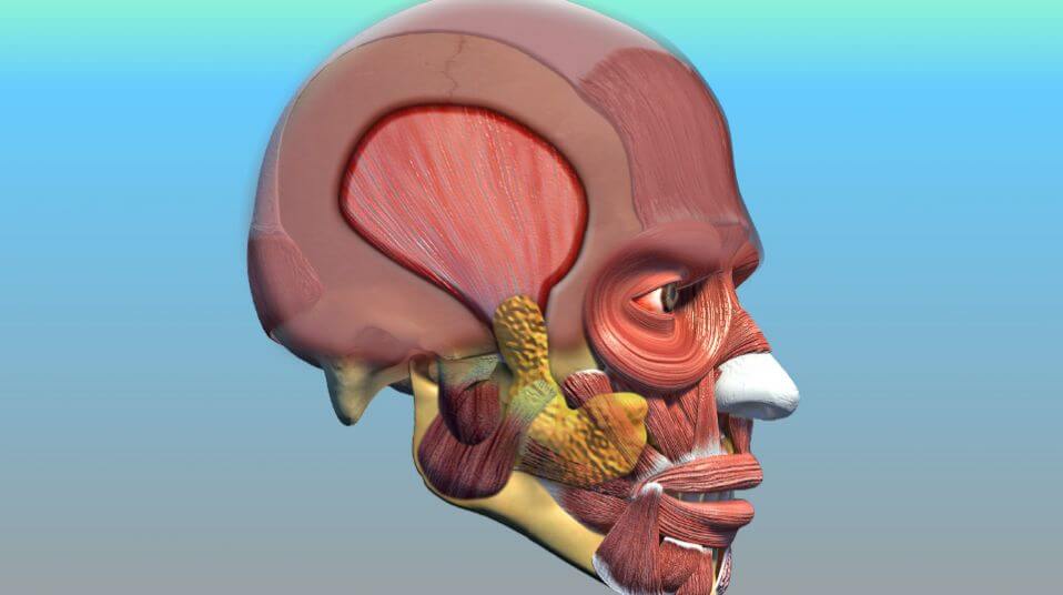 Lengthening Temporalis Myoplasty (MAT)